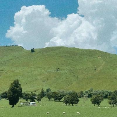 欢乐斗牛腾讯app下载