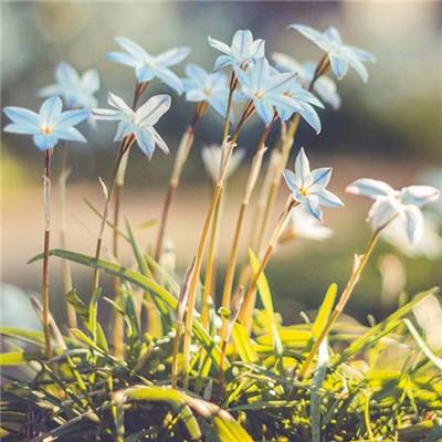 AG百家家乐app手机app下载