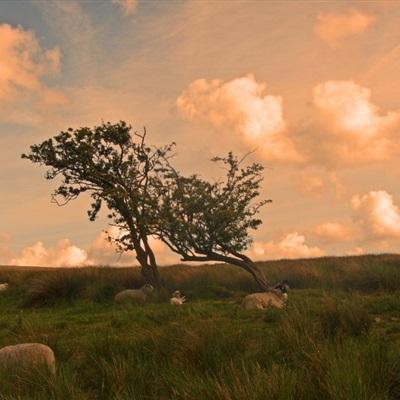 kaiyun登录官截图