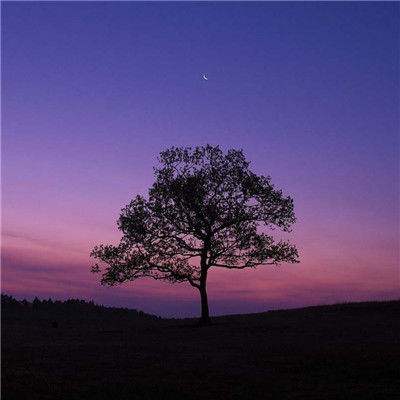 万博(ManBetx)下载手机版截图