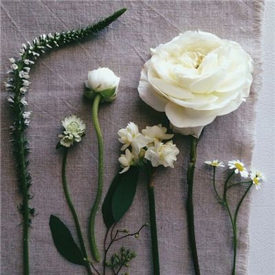 万博(ManBetx)下载手机版截图