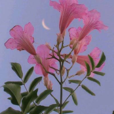 kaiyun平台app下载