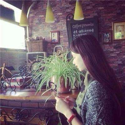 金沙官方版下载